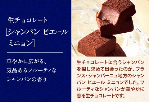 【1-35-211】ROYCE'生チョコレート入りバラエティセット | ロイズ 生チョコ チョコ チョコレート スイーツ お菓子 おかし ギフト 詰め合わせ お取り寄せ 北海道 土産 定番 送料無料