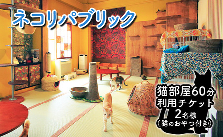 チケット 東京 猫部屋 2名 チケット
