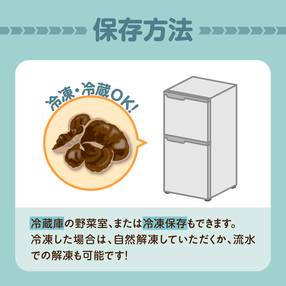 きくらげ 生 1kg ( 500g ×2袋)  国産 【 キクラゲ 生きくらげ 木耳 生キクラゲ 日本産 きのこ キノコ 青森 五所川原 】