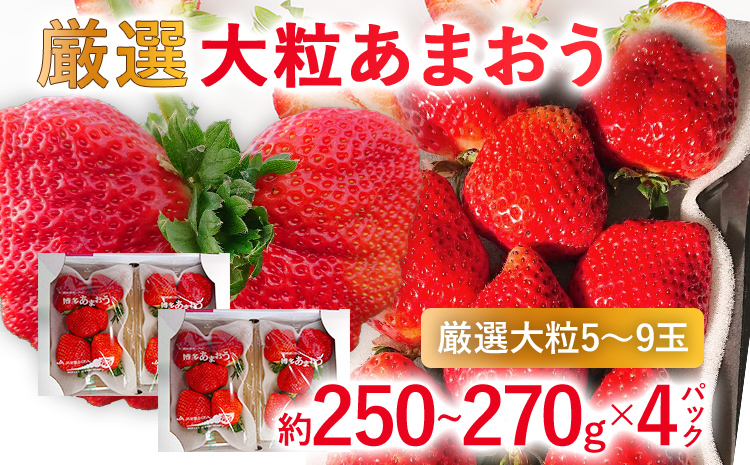 【2027年発送先行予約】厳選大粒あまおう(約250‐270g x 4パック) お取り寄せグルメ お取り寄せ 福岡 お土産 九州 福岡土産 取り寄せ グルメ 福岡県