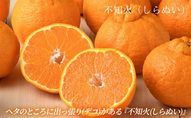【2027年2月より順次発送】 後藤みかん農園 柑橘詰合せ （せとか・不知火 各3個）ハウス栽培 果物 くだもの 旬のフルーツ 旬の果物 季節のフルーツ 季節の果物 柑橘 柑橘類 静岡 浜松市