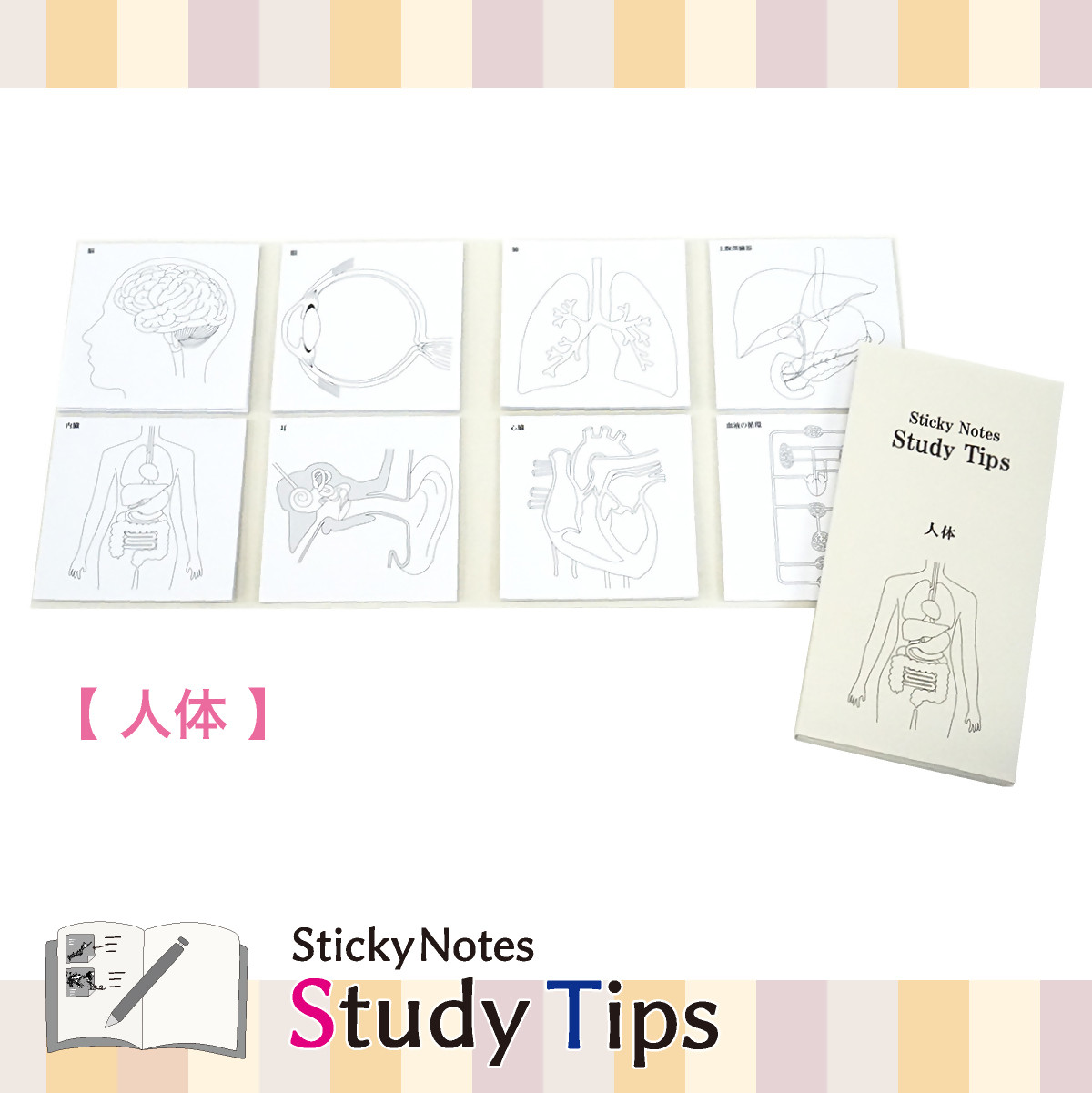 
                  5-3_人体付箋 【Sticky Notes Study Tips】 (スタディチップス) 人体｜付箋 人体 学習 付せん 医療 勉強 セット 文具 メモ プレゼント 便利 書き込み 役立 塾 メモ帳 ギフト 子供 子ども 孫 受験 予習 復習 宿題 8種類 ブック型
                