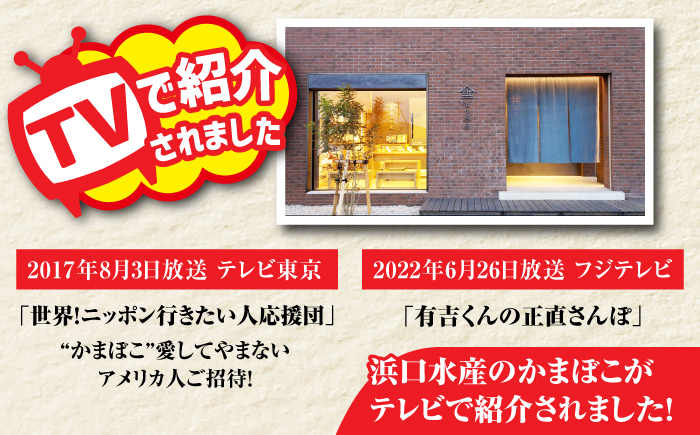 【6回定期便】五島 蒲鉾 詰合せ Aセット 五島市/浜口水産[PAI021] かまぼこ すり身 つみれ ギフト 練り物 天ぷら 詰め合わせ セット おつまみ