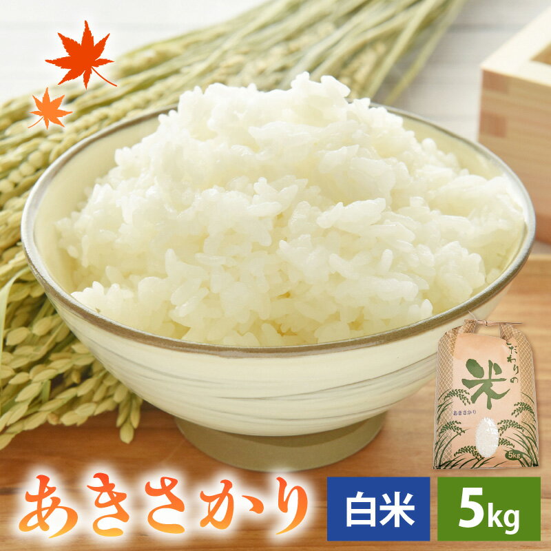 【ふるさと納税】【先行予約】 【新米】 令和7年産 あきさかり 5kg 福井県産 コシヒカリ系統品種【白米】【お米 アキサカリ 5キロ】 【2025年11月より順次発送】 [e30-a093]