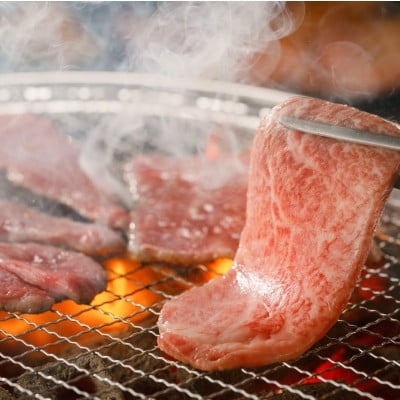 
            ＜焼肉三ちゃん＞《ディナー》30,000円分お食事券(ぐるなびセレクション)【1642248】
          