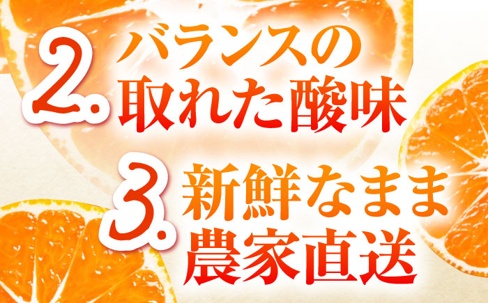 【2025年10月下旬～発送】【2回定期便】温州みかん 食べ比べ 10kg×2回 / みかん 青島みかん ミカン 蜜柑 甘い フルーツ 果物 / 南島原市 / 蜜柑屋まつお [SCQ004]