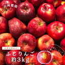 【ふるさと納税】＼先行予約／ 文字入り りんご 3kg （約10個～12個） 林檎 リンゴ 果物 果実 くだもの フルーツ 農家直送 減農薬 人気 ランキング ギフト プレゼント 贈答 熨斗 のし 福島県 福島 田村市 田村 ふくしま たむら 川向農園