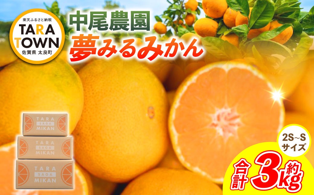 
                  中尾農園の夢みるみかん （ 2S ～ S ） 3kg 夢みるみかん みかん ミカン 柑橘 柑橘類 柑橘系 果物 くだもの フルーツ 果実 果肉 果汁 国産 佐賀県産 【 2026年10月中旬～2027年1月下旬まで順次発送予定 】
                