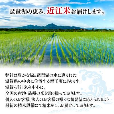 ふるさと納税 竜王町 令和7年産 新米 近江米 にじのきらめき 白米 10 kg |  | 03