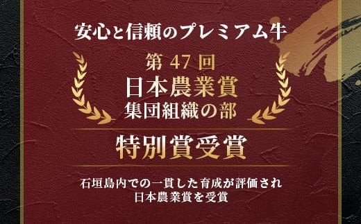 石垣牛ハンバーグセット100g×10個＜2025年11月発送＞| 国産 石垣牛100% 沖縄 石垣島産 高級 黒毛和牛 ビーフ ハンバーグセットA-06_11