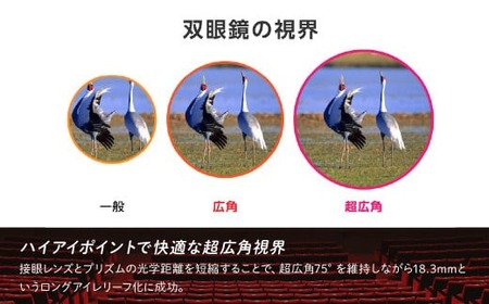 双眼鏡 ビクセン SW8×25WP | 双眼鏡 vixen FN-Limited-PR