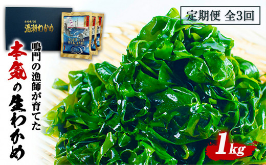 定期便 3回 お届け 生わかめ 1kg （100g×10袋）　鳴門わかめ わかめ 国産 ブランド 人気 小分け 湯通し 味噌汁 みそ汁 スープ 料理 ギフト