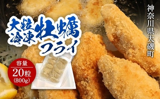 
            大粒カキフライ 20粒 【冷凍 牡蠣 かき 大粒 冷凍カキフライ 魚介類 海鮮 惣菜 おかず ギフト 簡単調理 冷凍配送 送料無料 神奈川県 大磯町】
          