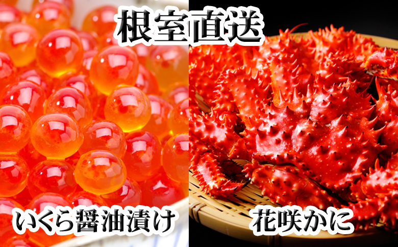 ＜12月21日決済分まで年内配送＞花咲かに300g前後～450g前後×1尾・いくら醤油漬け100g×1Pセット A-36027