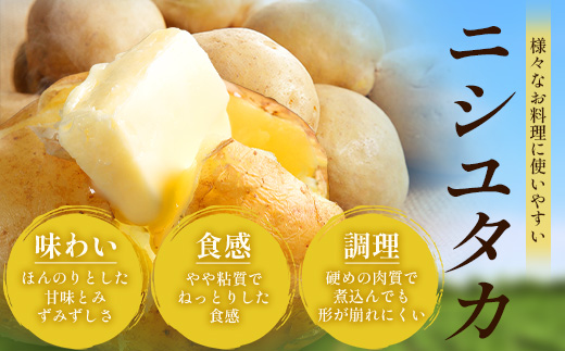 【先行予約】じゃがいも 馬鈴薯 (バレイショ) ≪2L～L≫ 約10kg×1箱 /ニシユタカ (約30個) ≪ 2026年3月20日頃より順次発送≫ CS-1｜産地直送 旬 ジャガイモ 芋 ポテト ば