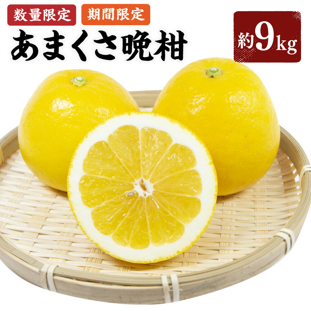 【ふるさと納税】【先行受付】【数量限定】あまくさ晩柑 約9kg 晩柑 ばんかん 柑橘 フルーツ 果物 くだもの 上天草市産 熊本県産 九州産 国産 送料無料 【2026年3月上旬から4月下旬順次発送】