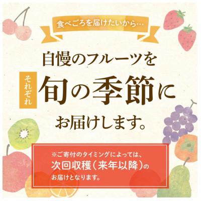 ふるさと納税 三豊市 【発送月固定定期便】香川県・三豊市共通返礼品　フルーツ旬の果物　Cセット全3回