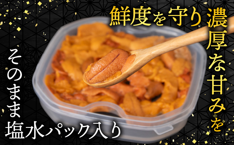 バフンウニ(赤系)塩水パック95～105g×2P[10月中旬以降発送] B-74002