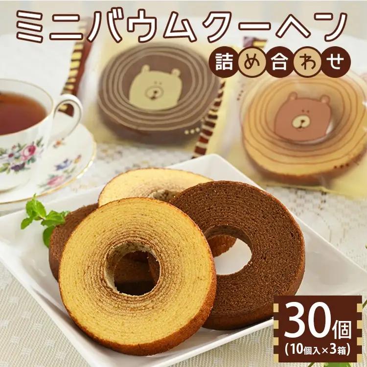 ミニバウムクーヘン詰め合わせ 10個入り 3箱 〔P-459〕 | 菓子 スイーツ 洋菓子 おかし デザート おやつ セット 詰め合せ アソート 個包装 バウムクーヘン 焼菓子 お取り寄せ プレゼント ギフト おすすめ 人気 1万円以下 那須町