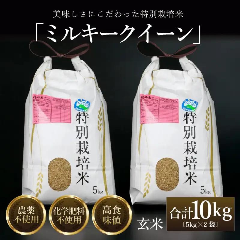 【先行予約】【令和8年産 新米】 ミルキークイーン 玄米 10kg （5kg×2袋） 特別栽培米 農薬不使用 化学肥料不使用 ／ 高品質 鮮度抜群 福井県産 ブランド米 ※2026年10月上旬以降順次発送 [aw063-c002_R8]