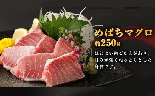 【室戸市】 厳選 天然 マグロ 2種 メバチ ビンチョウ 650g