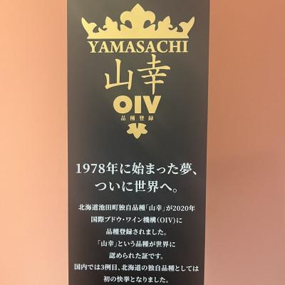 ふるさと納税 池田町 十勝ワイン 山幸2本セット |  | 01