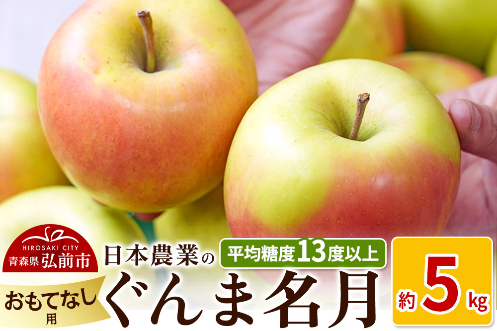 りんご 【先行受付】平均糖度13度以上！ ぐんま名月 約5kg おもてなし用