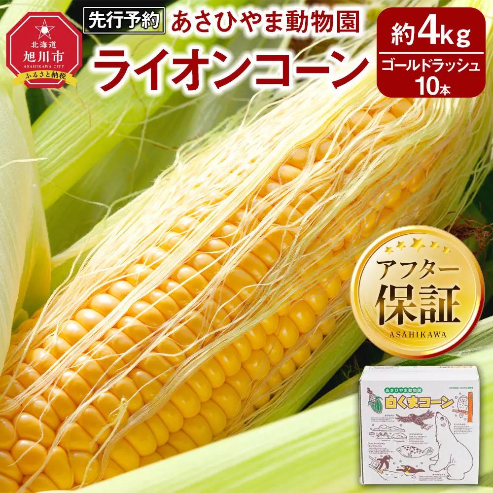 【先行予約】あさひやま動物園ライオンコーン4kg(ゴールドラッシュ10本)2026年8月下旬から発送開始 | とうもろこし とうもろこし 北海道 限定_00307