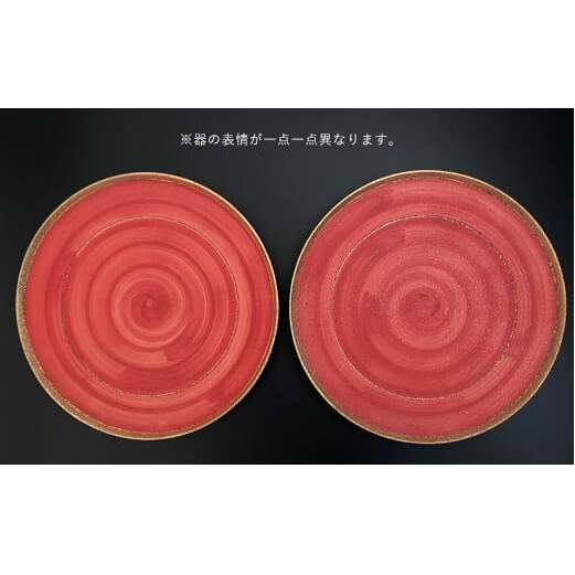 金善製陶所 立渕24.5cm丸皿 2点 有田焼 A50-177_イメージ4