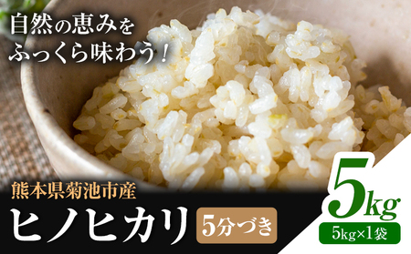 熊本県菊池産 ヒノヒカリ 5kg 5分づき米 お米 分づき米 《30日以内に出荷予定（土日祝除く）》