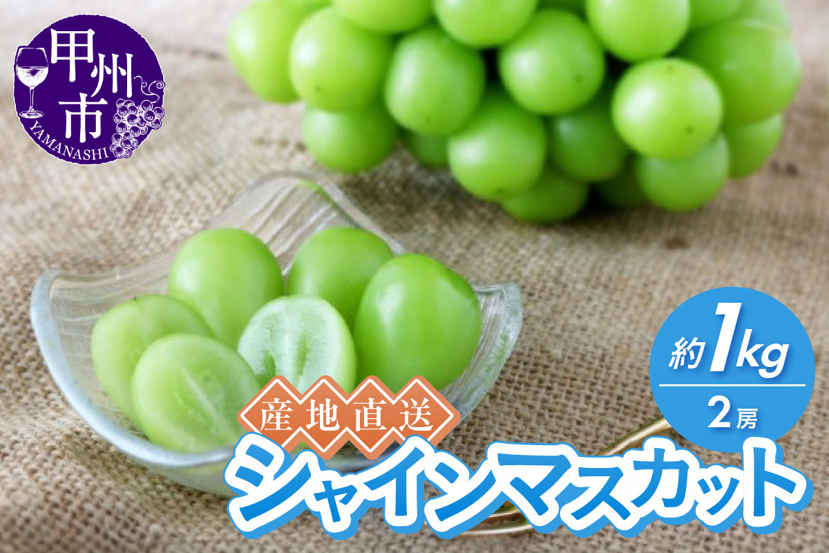 
            【選べる発送年度】産地直送やみつきシャインマスカット 約1kg（2房）【2025年発送】【2026年発送】（RC）B-434 【シャインマスカット 葡萄 ぶどう ブドウ 令和7年発送 令和8年発送 期間限定 山梨県産 甲州市 フルーツ 果物】
          
