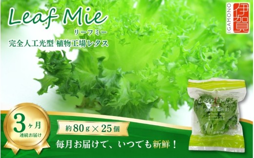 【農薬不使用】Leaf Mie（完全人工光型植物工場レタス）約80g×25個　3ヶ月連続お届け【fskk-tkb0001】