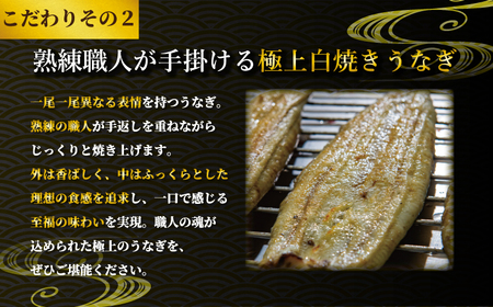 訳あり 国産うなぎ 白焼き 3パック うなぎ
