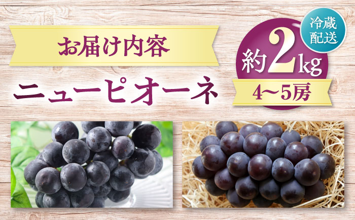 【先行予約】【8月中旬から順次発送】 ニューピオーネ 4から5房 約2kg 愛媛県大洲市/有限会社西山青果　フルーツ 果物 ぶどう ピオーネ [AGAR024]