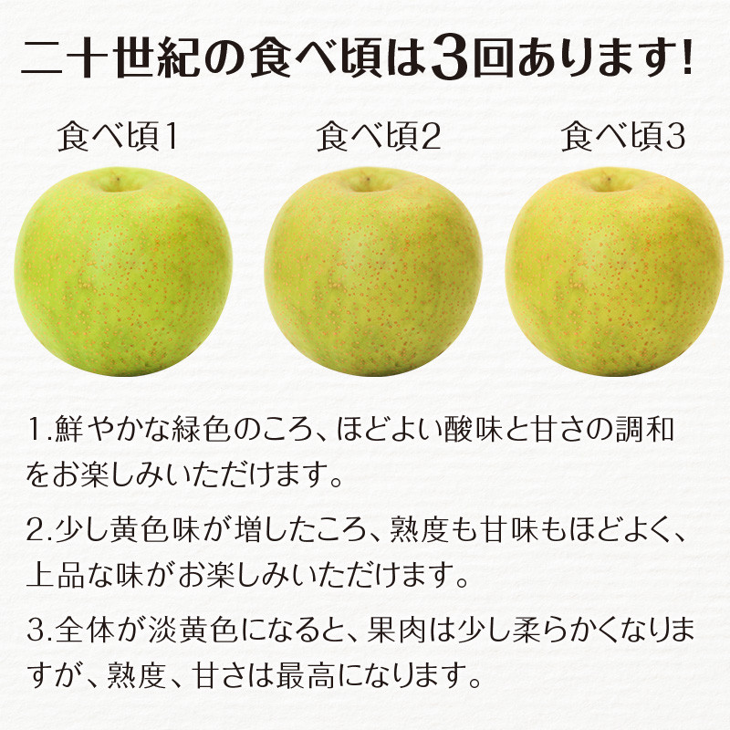 FKP9-685 【先行予約】二十世紀梨（廿世紀梨）約5kg