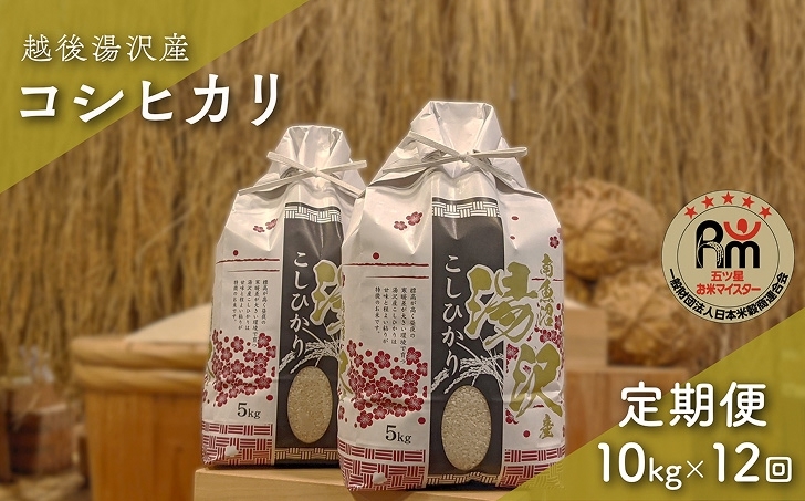 
            令和7年産【白米10kg/12回定期便】「五つ星お米マイスター」の精米 10kg(5kg×2)×12【湯沢産コシヒカリ】
          