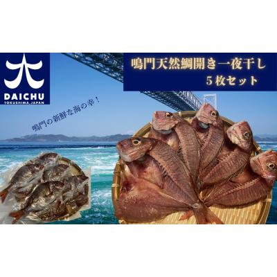 ふるさと納税 鳴門市 鳴門天然鯛開き一夜干し5枚セット