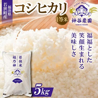 ふるさと納税 若狭町 【令和8年産先行受付】福井県若狭町コシヒカリ(1等米)　5kg
