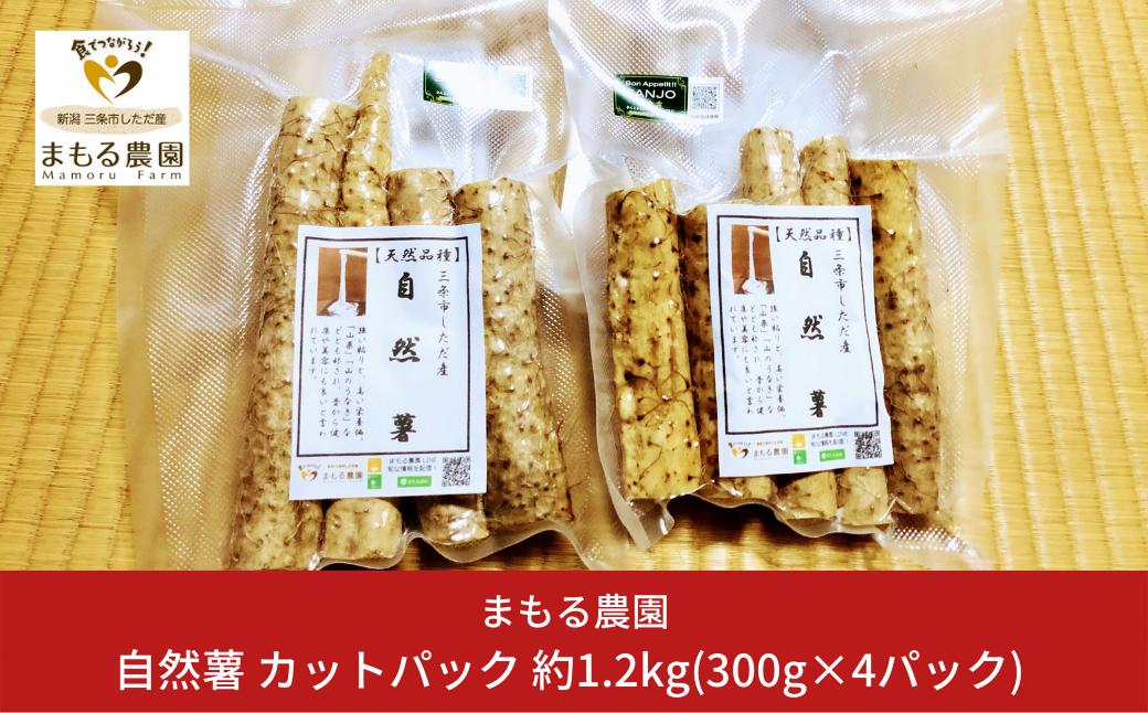 
自然薯 カットパック 約1.2kg(300g×4パック) 山芋 とろろご飯に じねんじょ [まもる農園] 【012P048】
