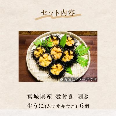 ふるさと納税 石巻市 <先行予約> 生うに 宮城県産 殻付き お造り 生ウニ 6個 冷蔵 ミョウバン不使用 無添加 |  | 02