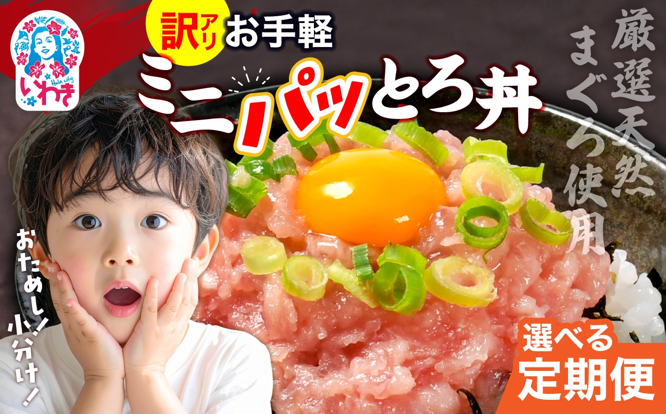 
                  【定期便3回/6回/9回/12回】 ネギトロ 月1回 約1kg (約40g×24パック) ｜  定期便 小分け | まぐろ 鮪 ネギトロ ねぎとろ まぐろたたき まぐろのたたき マグロたたき ネギとろ ねぎトロ 福島県 いわき市 DK011-1kg-t-oya
                