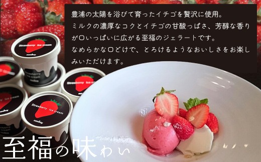 いちごジェラート 100ml×6個（豊浦産イチゴ使用）