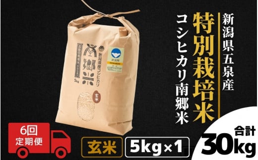 【令和6年産新米】 〈6回定期便〉 特別栽培米コシヒカリ 「南郷米」 玄米5kg（5kg×1袋）新潟県 五泉市 有限会社ファームみなみの郷