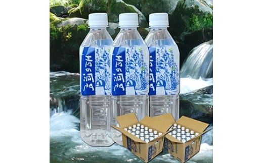 
耶馬溪源流水 青の洞門 500ml×48本 2ケース 湧き水 天然水 ナチュラルミネラルウォーター 熨斗可
