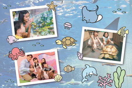 「DMMかりゆし水族館」入場券 中人1名(13～17歳)｜水族館 入場券 チケット 旅行 観光 沖縄旅行 沖縄 おきなわ 豊見城市(DG002)