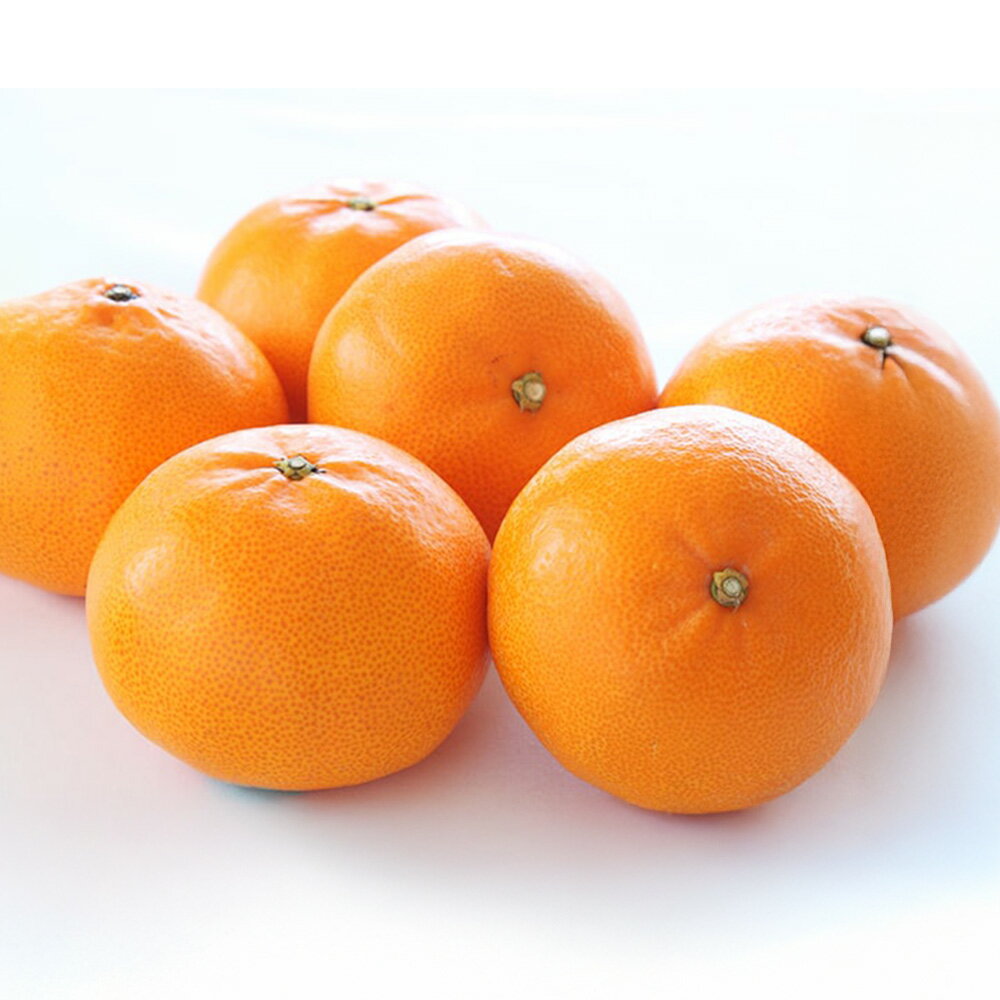 【ふるさと納税】せとか 4L～L〈選べる〉約3kg(化粧箱入り) or 約5kg(通常箱) みかん 蜜柑 果物 フルーツ 柑橘 デザート おやつ お取り寄せ 国産 愛媛県 送料無料【2026年2月下旬-4月下旬発送予定】(820)(821)