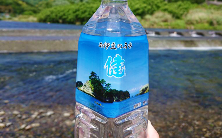 西伊豆の名水「健」24本セット 水 大沢里 仁科 中硬水 ミネラルウオーター 500ml 伊豆 わさびの駅 天然水