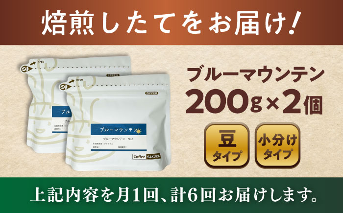 【全6回定期便】ブルーマウンテンNo.1 コーヒー豆 200g×2個 (豆) / 珈琲 コーヒー 豆 / 瀬戸市 / Ｃｏｆｆｅｅ　ＳＡＫＵＲＡ [BBAB031]