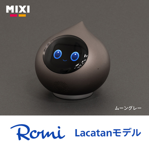 会話AIロボットRomi（Lacatanモデル）本体＋月会費12か月分＜ムーングレー＞ 【212002-4】