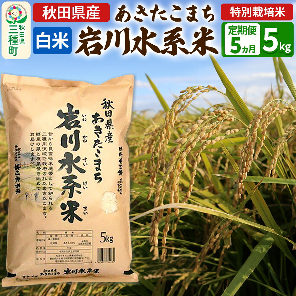 【ふるさと納税】《定期便5ヶ月》【白米】あきたこまち 岩川水系米 5kg(5kg×1袋)×5回 令和7年産